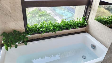浴室綠化